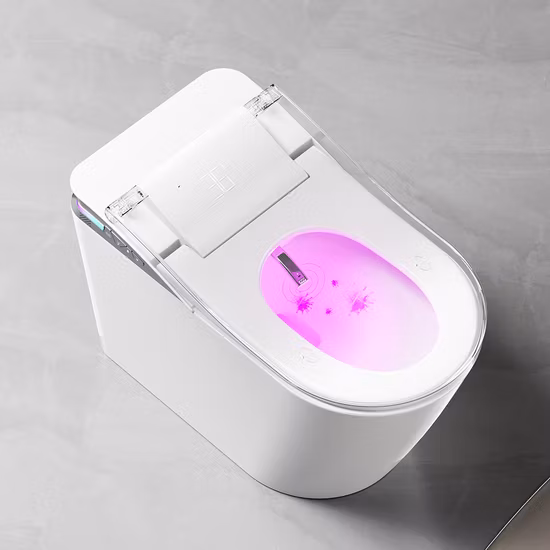 Floor Standing Ceramic Automatic Inductive Smart Toilet